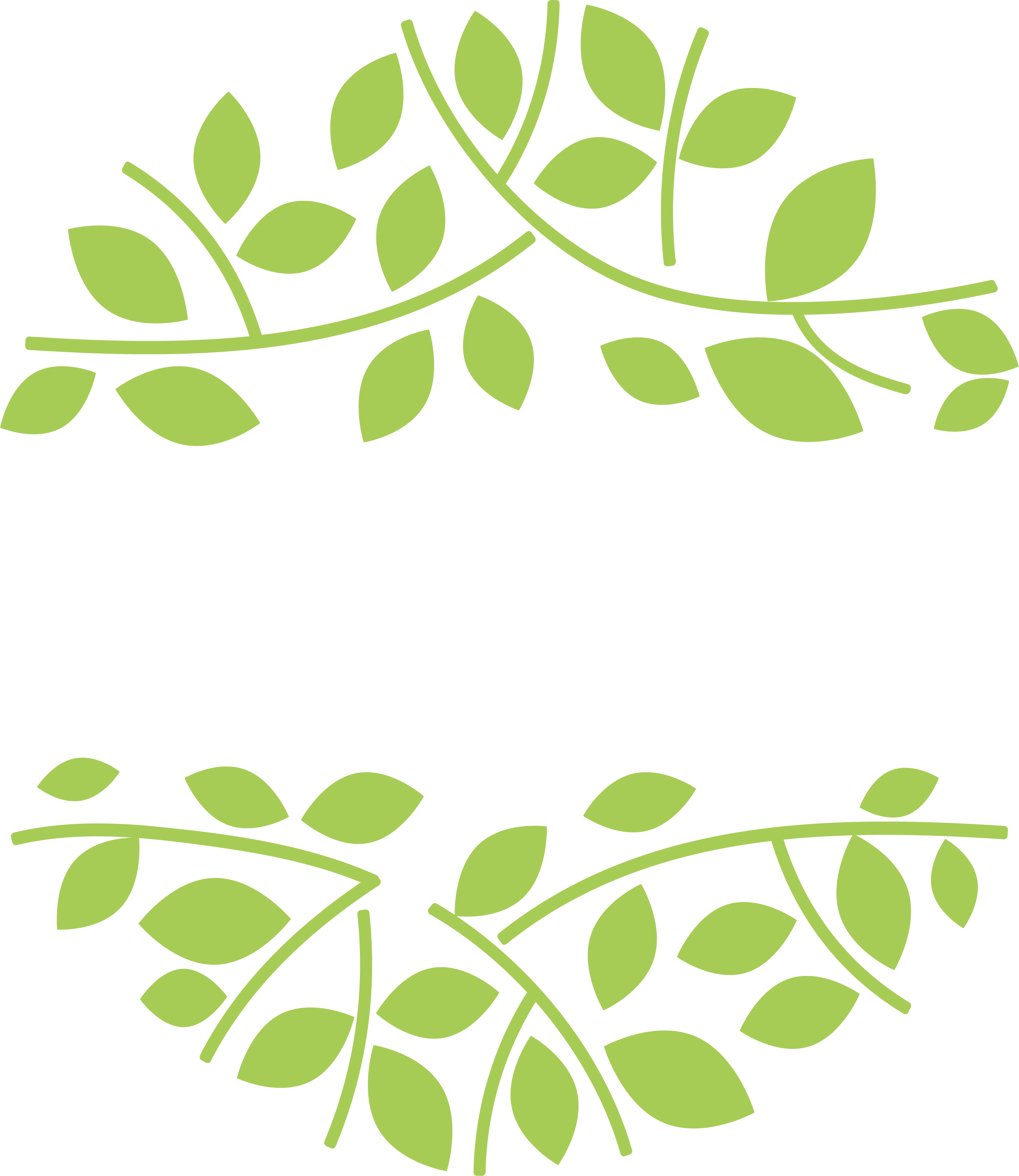 Phytophil